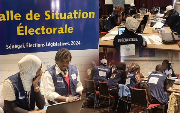 Observation des élections législatives : Les recommandations de Wanep Sénégal