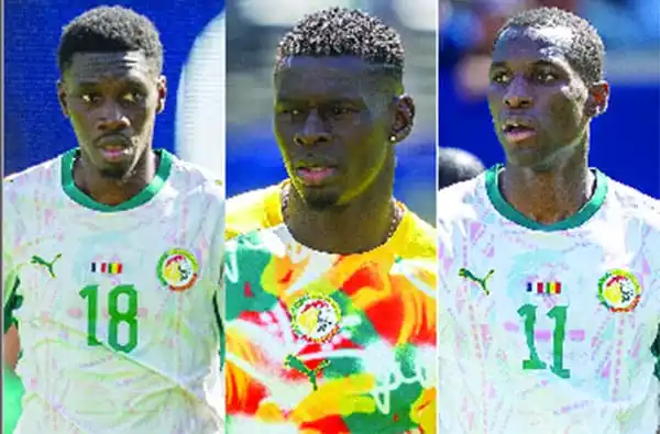 Tanière – Malgré l’échec du Mondial américain : Les Lions animent le mercato d’été