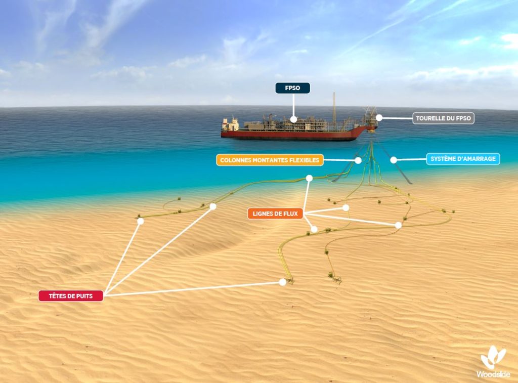 Exploitation of the Sangomar oil fields: Barrel of hope