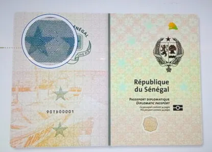 A Network of Counterfeit Passports Dismantled