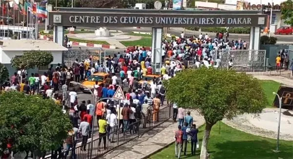 Sur les franchises universitaires