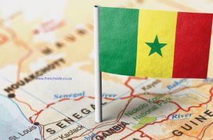 L’exode des compétences sénégalaises : symptôme d’une crise d’attractivité nationale