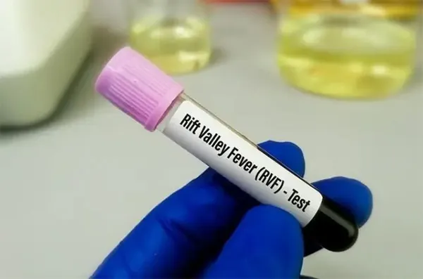 Fièvre de la vallée du Rift (Fvr) et Mpox, la communication, une urgence