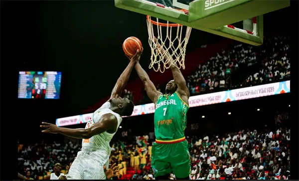 Basket – Éliminatoires pour le Mondial : Les Lions terminent en tête de leur groupe