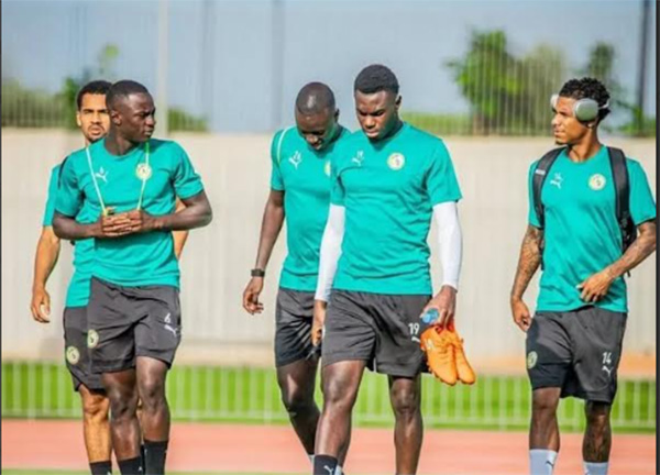 Tanière – Deuxième galop des Lions Le groupe presque au complet… en attendant Jackson