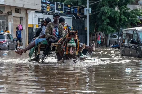 Inondations au Sénégal : Transformer l’expérience des quartiers en solutions durables