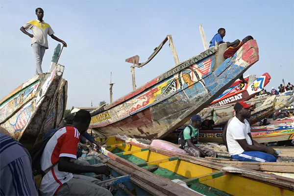 Sous-secteur de la pêche : Hausse de 26, 3% des débarquements