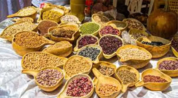 Gouvernance foncière et souveraineté alimentaire : un défi vital pour l’avenir du Sénégal