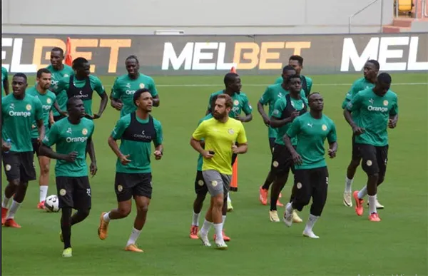 Amicaux – Matchs contre l’Irlande et l’Angleterre, en juin : Les Lions vont se préparer… à Dakar